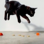 Can Trump Really Influence Your Mortgage Rate? What Presidential Power Means for Home Loans