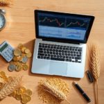 What Is Options Trading? A Beginner’s Guide