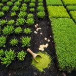 Are You Truly Protected? The Hidden Dangers Lurking in Bubble Markets—and How to Stay Safe